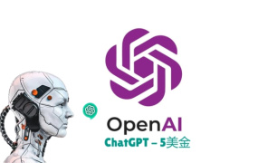 ChatGPT账号购买|批发出售独享账号,带邮箱/可改密码/$5余额